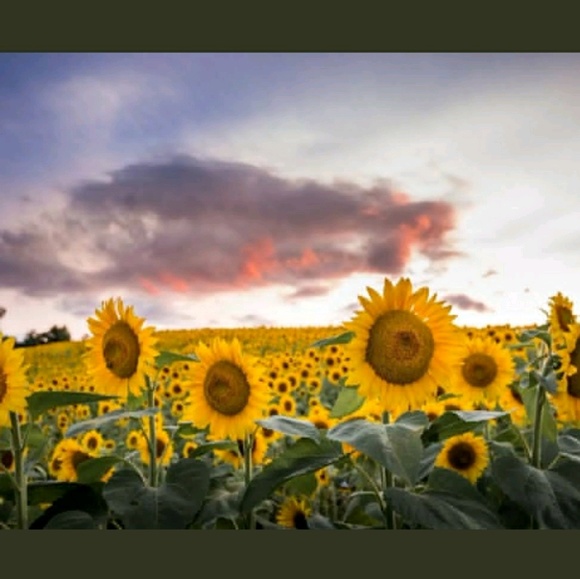 Meet your Posher, Andrea - Picture 1 of 1